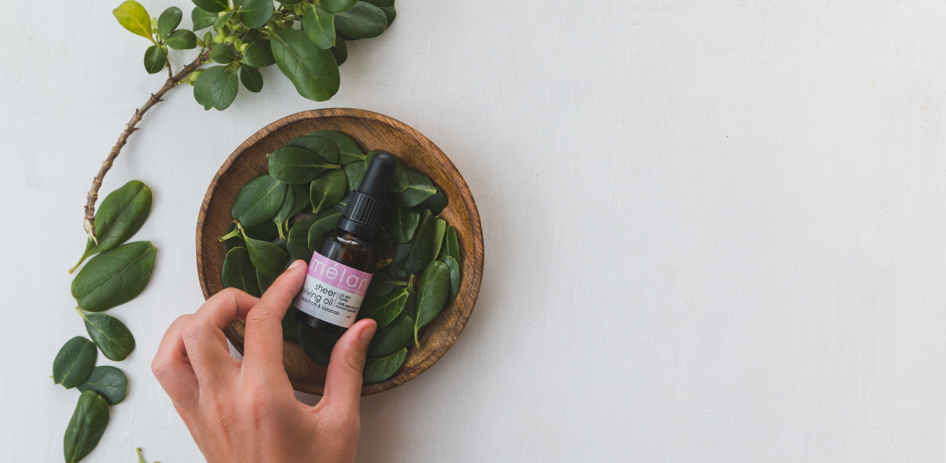 sheer reviving oil placed in bowl of leaves melan skincare